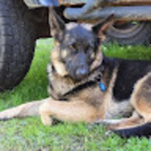 Meet your Posher, Mitch